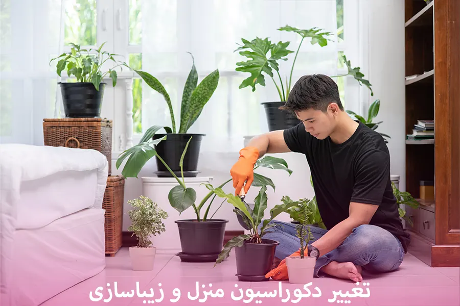 چگونه خانه خود را با گل و گیاه چیدمان کنیم؟